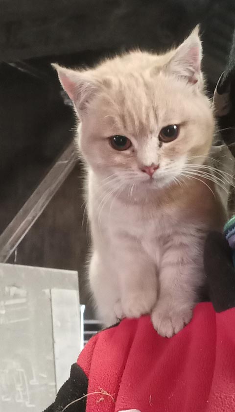 Zufall oder kein Zufall?? (Leserbrief)