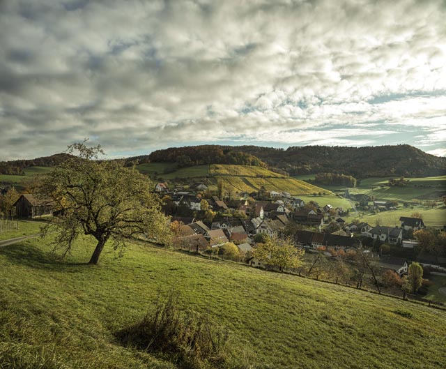 Dorfansicht von Elfingen, Ortsteil der 2022 fusionierten Gemeinde Böztal. Foto: © Michel Jaussi