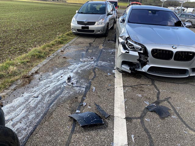 Eine Katze, die auf die Fhrbahn lief, löste in Aesch einen Selbstunfall mit erheblichem Sachschaden aus. Fotos: Polizei