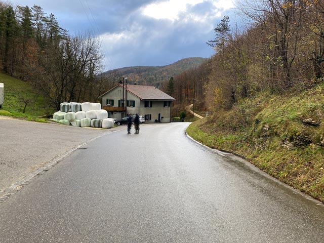 Fotos: Polizei