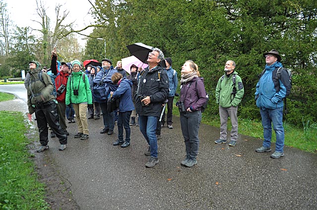 Das kühle, regnerische Wetter konnte den Enthusiasmus auf den Exkursionen nicht dämpfen. Foto: zVg