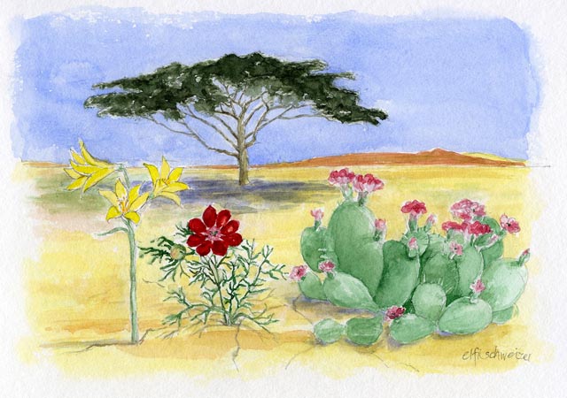 Die Gärten der Steppe. Foto: zVg