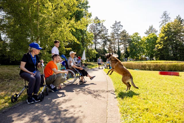 Therapiehunde. Foto: zVg