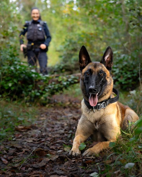 Polizeihund Malouk spürte die Verdächtigen auf. Foto: Polizei Aargau