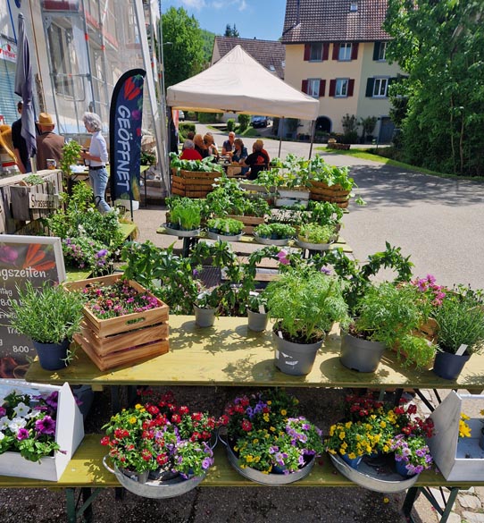 Foto: zVg