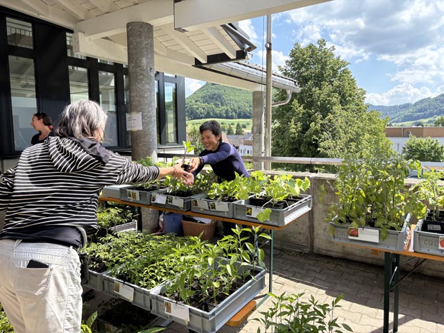  Reger Austausch an der Pflanzenbörse. Foto: zVg