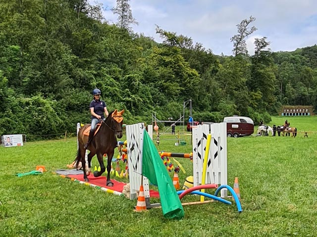 Gymkhana – für alle ist etwas dabei. Foto: zVg