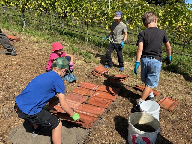 Der Jugendclub Pirol baute Ziegelburgen. Foto: Benno Zimmermann