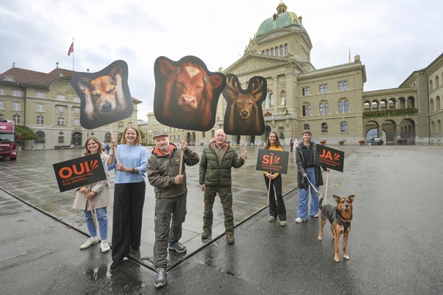 Offizielle Übergabe der Unterschriften. Foto. © Verein «Für eine Einschränkung von Feuerwerk»