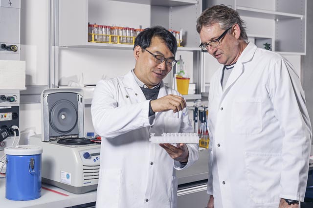 Sung Choi und Projektleiter Michel Steinmetz in ihrem Labor. Mithilfe der Kryo-Elektronenmikroskopie haben sie auf molekularer Ebene aufgeklärt, wie sich Mikrotubuli an der Signalübertragung innerhalb der Zelle beteiligen. © Paul Scherrer Institut PSI/Markus Fischer