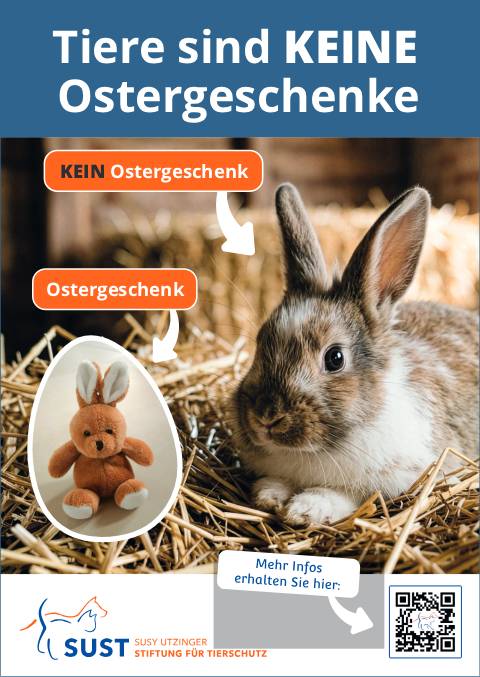 Kaninchen sind keine Ostergeschenke! Foto: sust