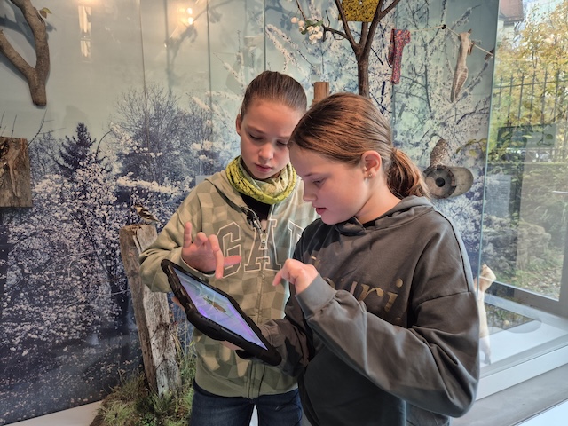 Das AR-Game «Rette Lumo!» ist für junge Naturama-Besucher:innen ab 8 Jahren im Museum spielbar. Foto: © Naturama