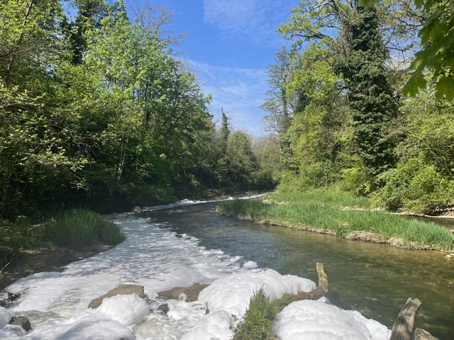 Schaum auf der Ergolz unterhalb des Hülftenfalls. Foto: zVg