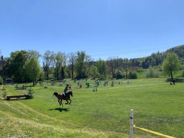 Der Parcours bot sportliche Herausforderungen für Ross und Reiter.