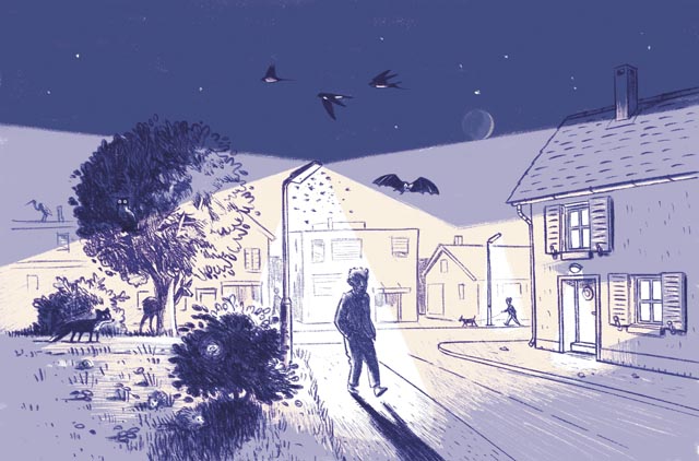 Nicht nachahmenswert: Menschen und Tiere werden durch Lichtverschmutzung beeinträchtigt. Illustration: Girod Gründisch