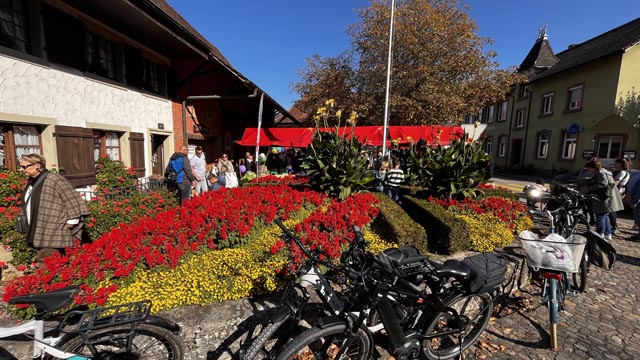 Eindrücke vom letzten Herbstmarkt in Möhlin. Foto: Iva Fromm